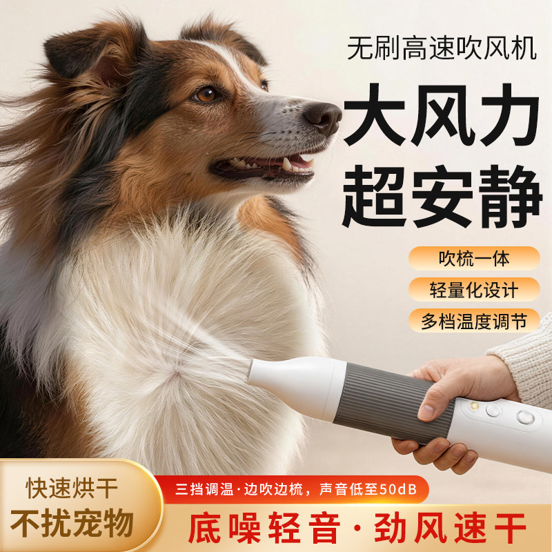 宠佰嘉底噪速干吹梳拉毛机