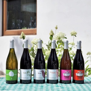 自然酒｜法国葡萄与天使娜吉玛白葡萄酒 盐渍菠萝 恰到好处的酸度