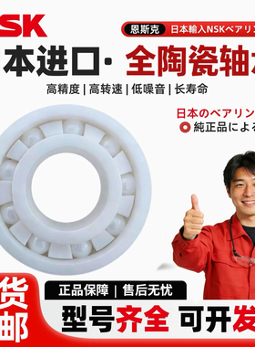 进口NSK轴承 全陶瓷氧化锆 6000 6001 6002 6003 6004 6005 高速