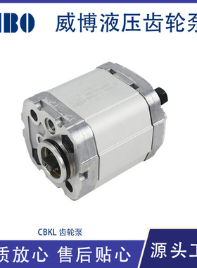 液压齿轮泵 小型高压油泵 大流量设备配件 CBKL系列动力单元