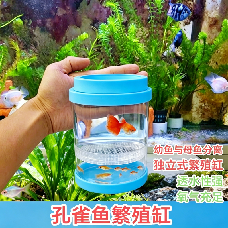 鱼缸隔离盒孔雀鱼繁殖盒凤尾斑马母鱼产房小鱼缸内胎生鱼产卵孵化