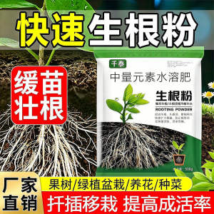 强力生根粉扦移栽营养液绿植花卉