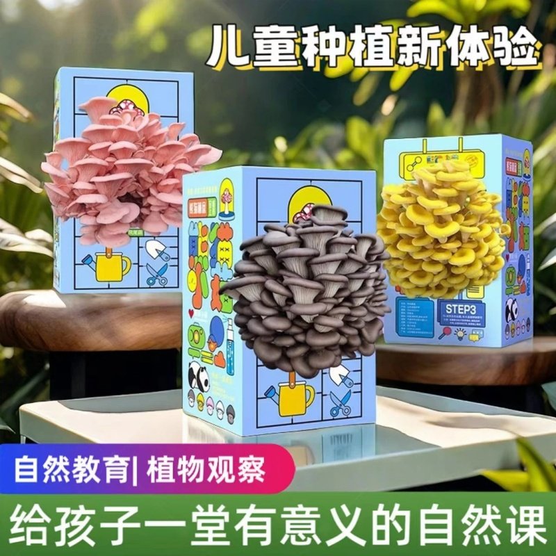 蘑菇盒子蘑菇种植包蘑菇菌包礼盒盒装平菇菌包室内家庭学校种植包,鲜花速递/花卉仿真/绿植园艺,多肉植物,淘宝优惠券,粉丝福利购,淘宝优惠卷