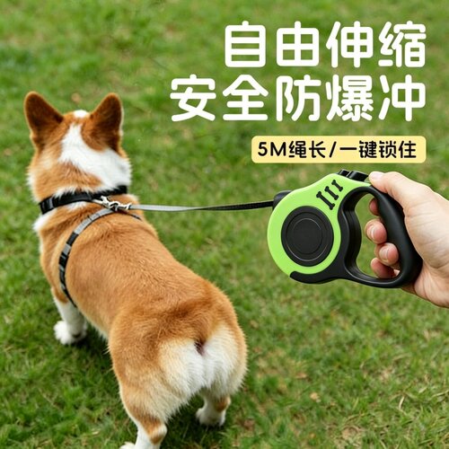 自动伸缩防爆冲防挣脱猫狗牵引绳