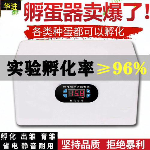 孵化器小型用水全自动智能迷你