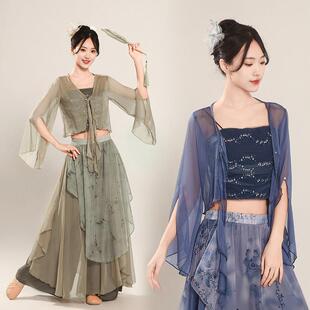 古典舞蹈服古风纱衣亮片飘逸水墨裙裤中国舞演出服装形体练功服女