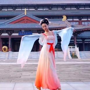 古典汉唐舞表演服古风纱衣夏辉女儿情同款 女 飘逸身韵练功演出服装