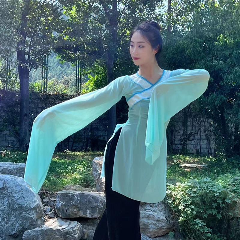 北舞推荐古典舞蹈汉唐水袖练功服国学汉服基训服现代舞演出服新款