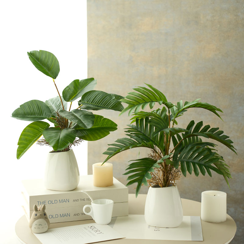 初若安然现代简约芭蕉叶仿真绿植摆件客厅茶几餐桌玄关装饰品