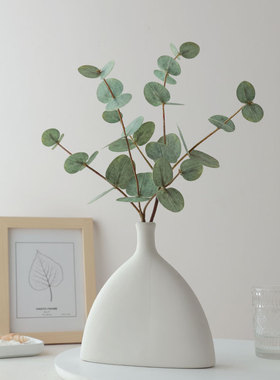 ins北欧风小清新仿真尤加利金钱叶枝仿真绿植假花摆设装饰花摆件