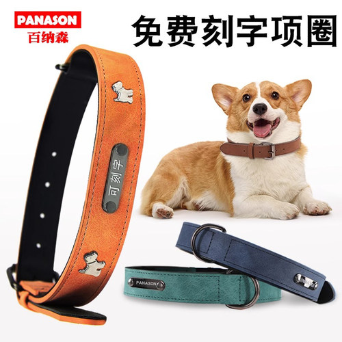 百纳森链子大小型边牧金毛狗
