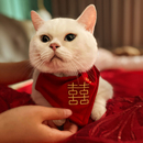 饰陪嫁宠物喜字项圈喜庆围脖狗狗婚礼衣服口水巾猫领结 猫咪结婚装