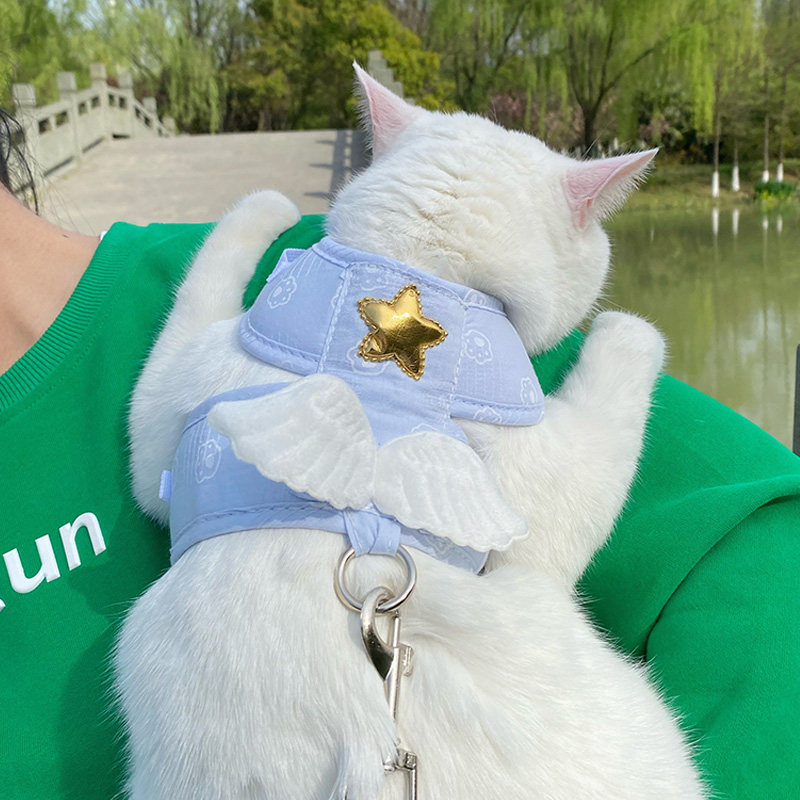 猫绳子牵引猫防挣脱拴猫绳幼猫网红猫链子猫咪专用牵引绳遛猫绳