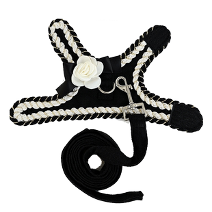 茶杯犬超小体奶狗幼犬幼猫小猫牵引绳小型犬约克夏1斤小狗狗绳子