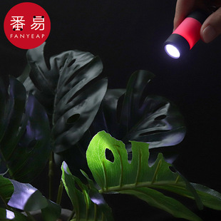 小型便携小手电筒迷你钥匙灯家用学生多用途 钥匙扣灯AB1S242