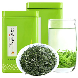 信阳毛尖茶叶正宗雨前春茶浓香型高山嫩芽新茶500g云雾绿茶送礼袋