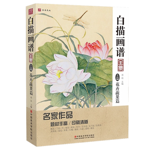 白描画谱花卉篇 中国画工笔画零基础入门国画教程画集技法美术绘画花鸟书籍教学手绘临摹图谱线稿底稿画册本写意书初学者教材教程