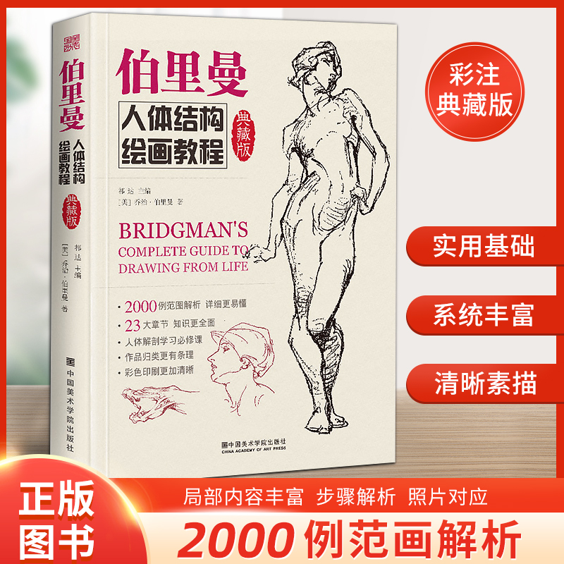 典藏版伯里人体结构绘画教程