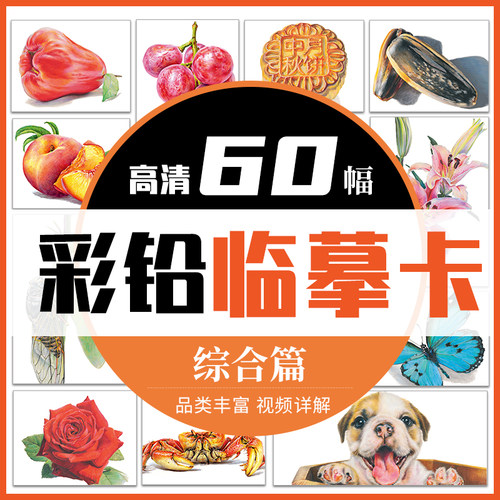 临摹综合2022一线美誉步骤对应