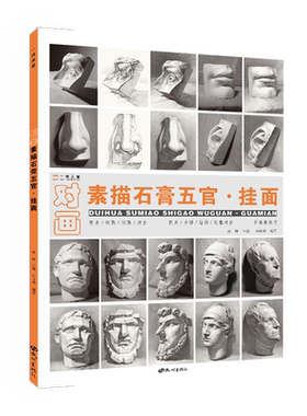 素描石膏五官挂面照片对画