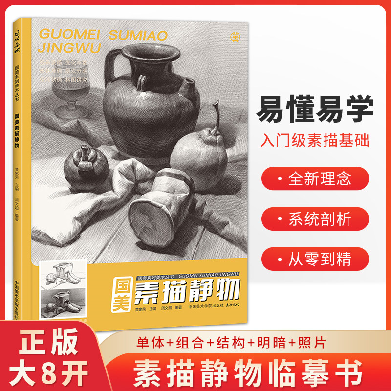 素描静物临摹书画册入门教材基础范本单体组合水果衬布写生照片书罐子