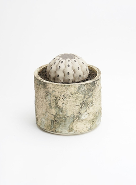 元气造物～潮流艺术 黒王丸 小 陶瓷仿生多肉(泷上玄野)N24B348