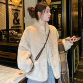 小香风立领仿水貂毛绒环保皮草女冬季 2025新款 高级感上衣毛毛外套