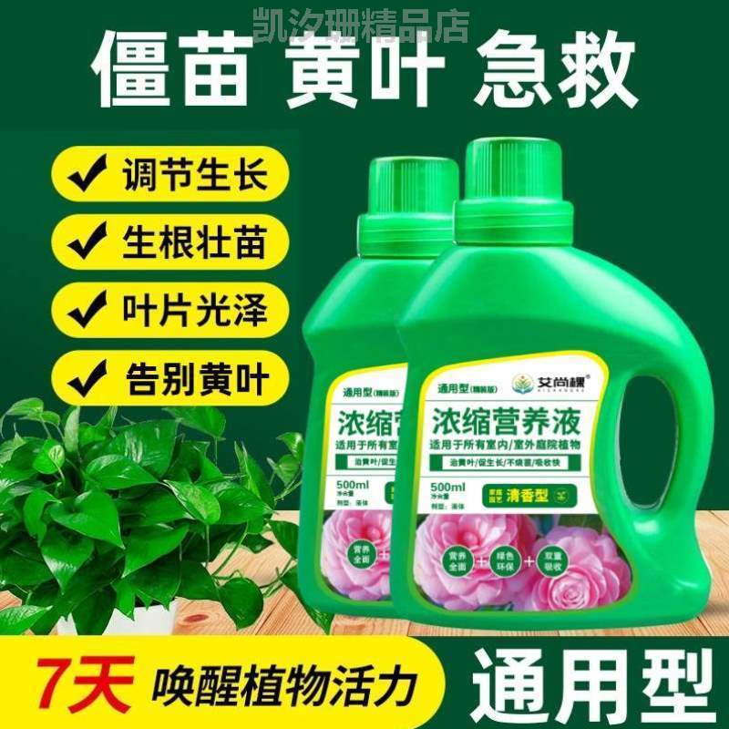 土壤生根花肥盆栽营养液通用型植物养}草铜钱庭园绿植碗莲君子兰