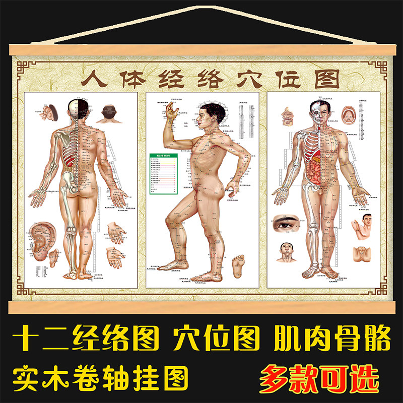 穴位图养生馆装饰画12经络图油画