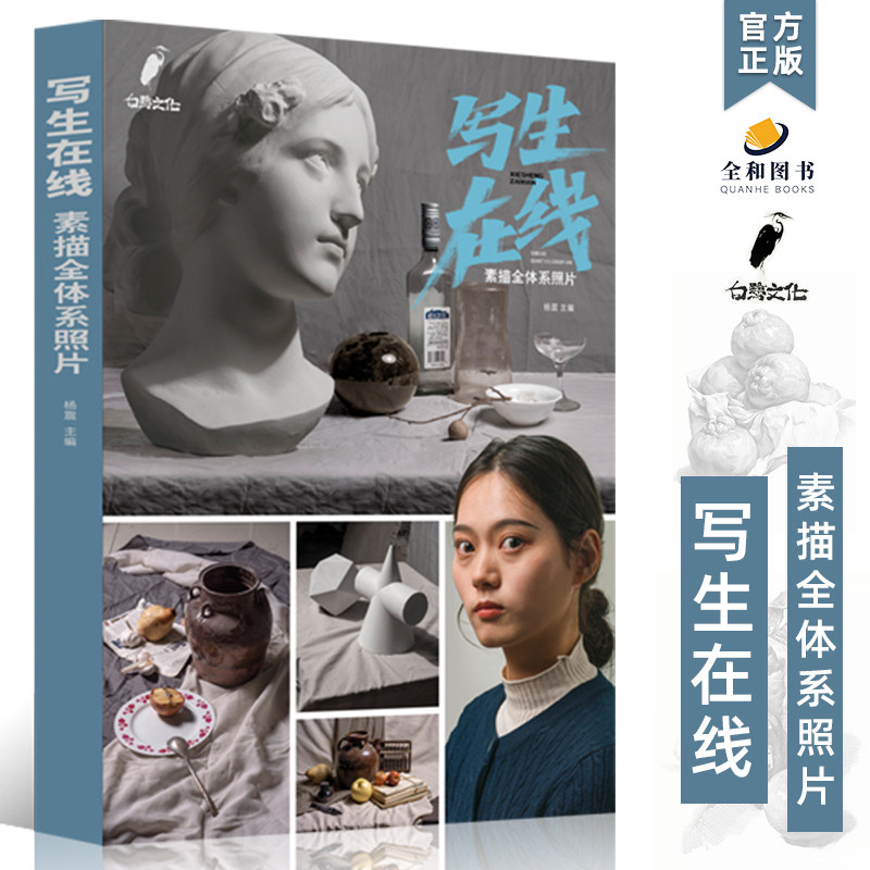 写生在线素描全体系照片2024白鹭文化杨震