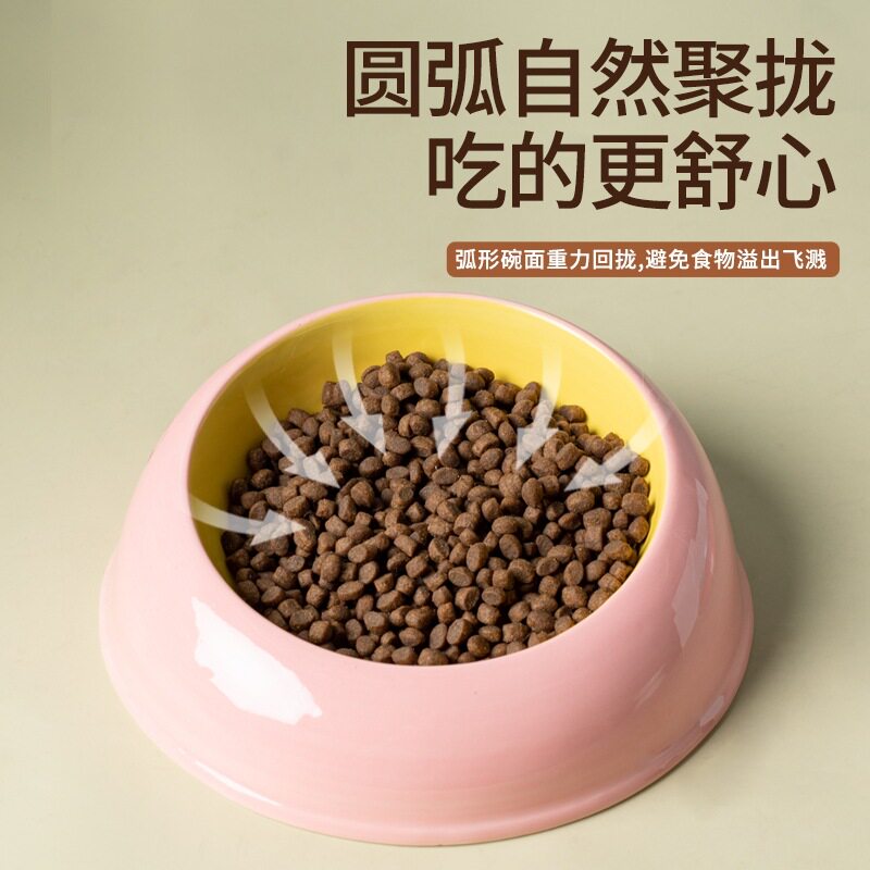 ins猫碗陶瓷猫粮碗喝水