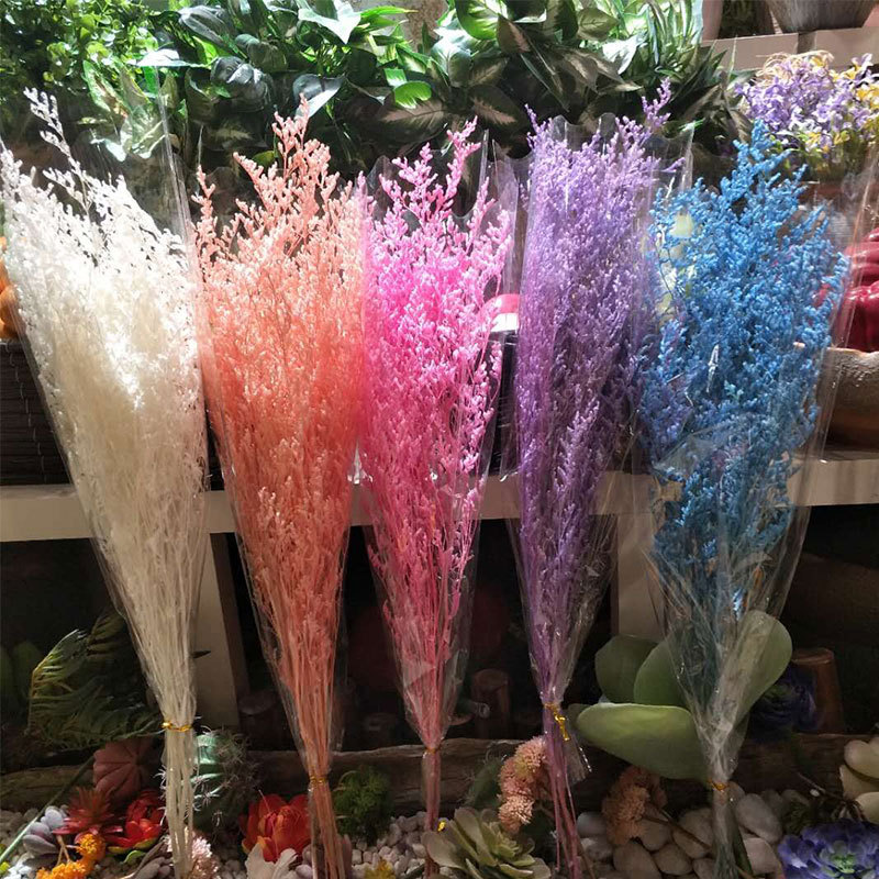 永生花情人草云南新款漂染花材保鲜花花束礼盒材料