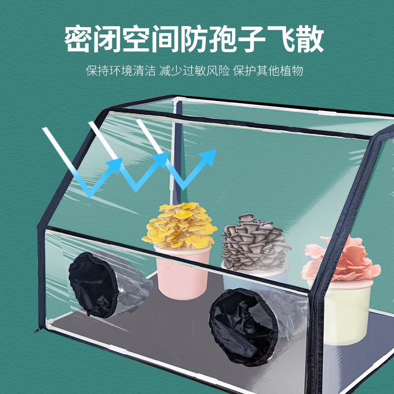 蘑菇观察箱育苗防水保温