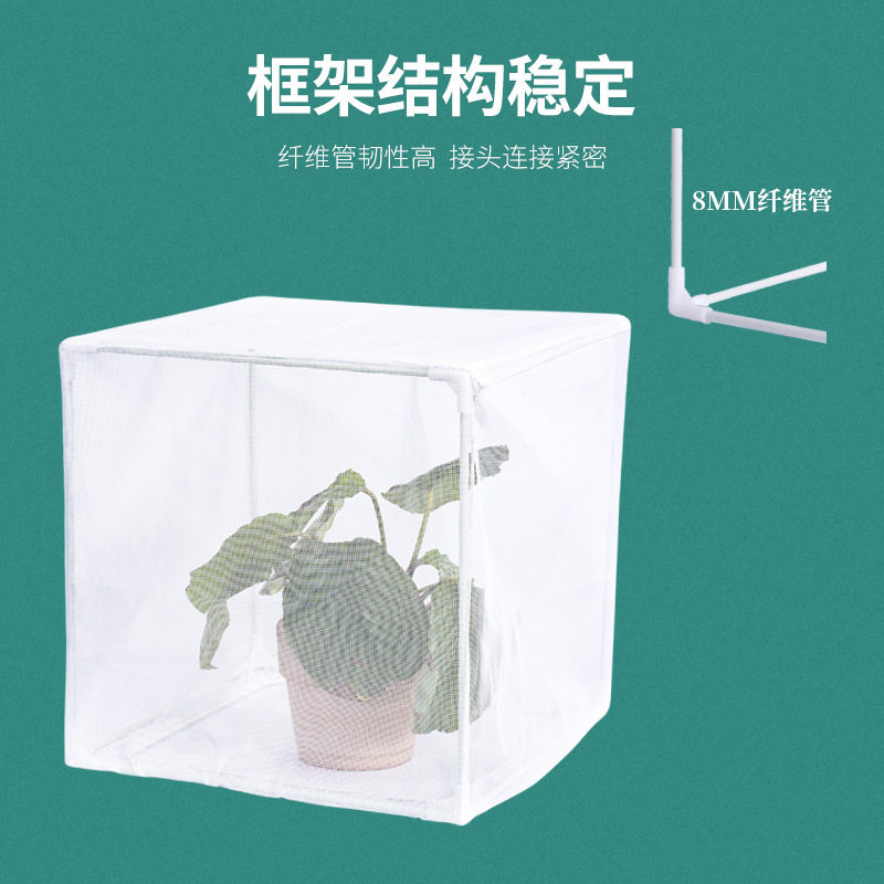 植物防虫保护罩鸟袋蔬菜