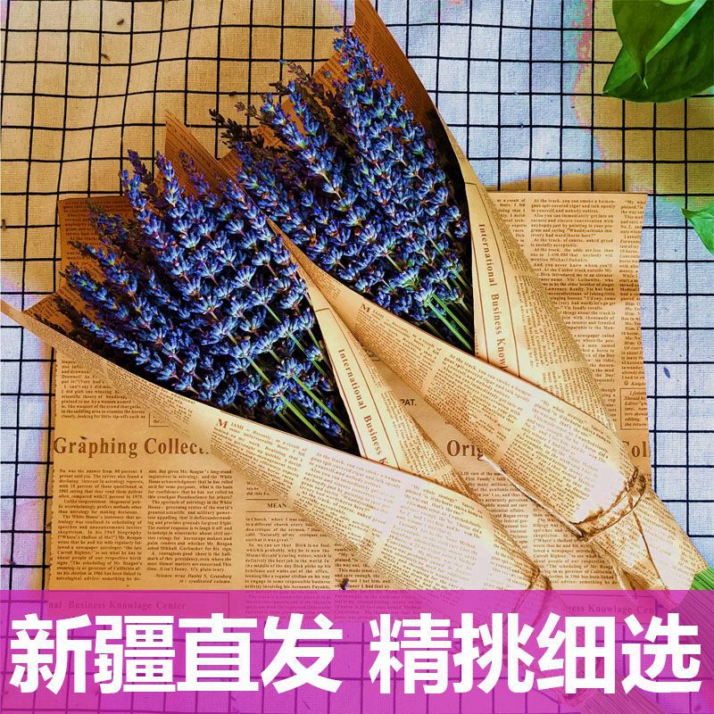 万花礼物直销新疆伊犁薰衣草英国兰花束 客厅装饰干花