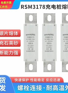 RSM3178熔断器DC1000V充电桩熔断器RS309规格齐100A200A量大直流