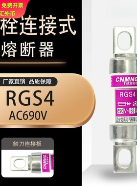 熔断器RGS4 660/690V100A125A 150A 160A 200A 660GH快速熔断器