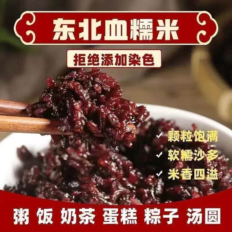 新货正在东北血糯米特产罐装黑糯米五谷杂粮紫米黑米紫米粗粮饭04
