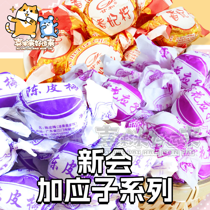 新会特产陈皮梅加应子话梅李子蜜饯酸甜果脯散装儿时零食500g