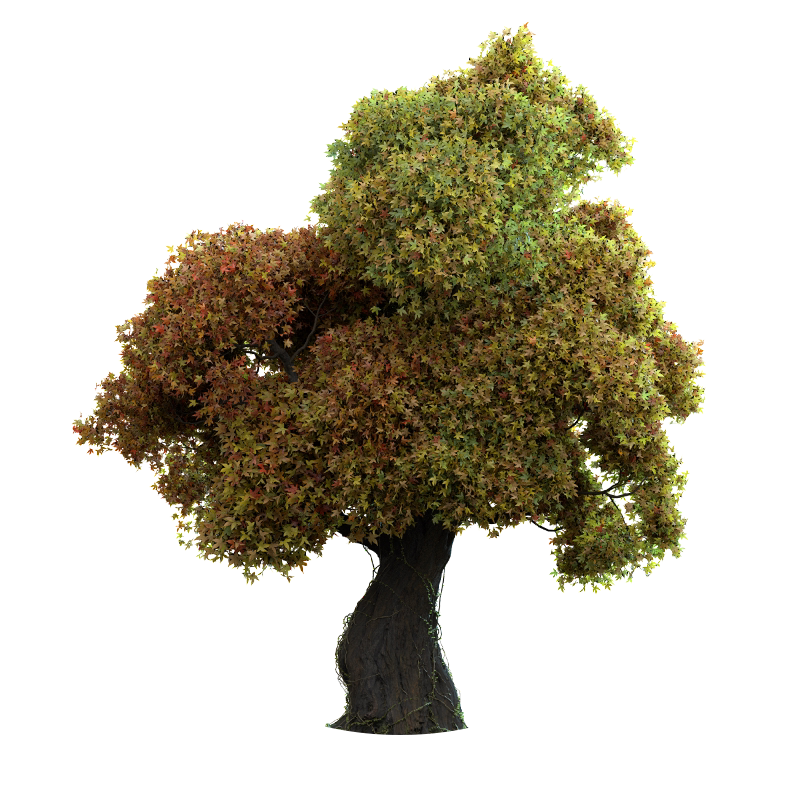 Maya/ZBrush教程场景教学电影级英雄树植物案例全流程视频课程