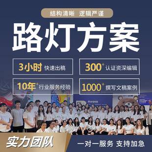 代写智慧路灯项目方案灯杆照明设施养护亮化施工计划建设技术报告