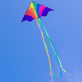 七彩飞天彩虹风筝大人专用大型成人微风易飞长尾拍照风筝 飞舞新款