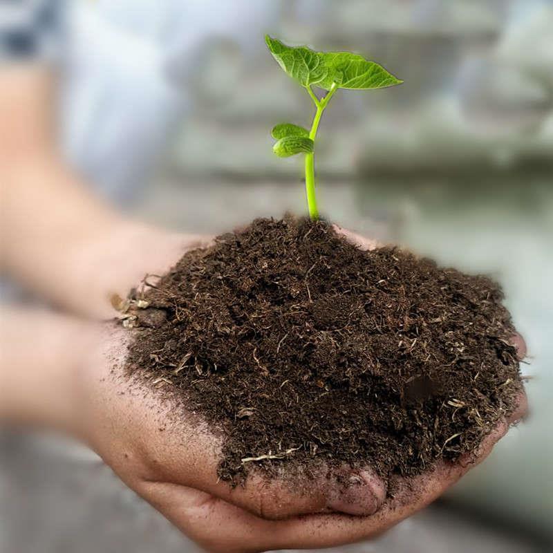 草炭土营养土通用型养花土种花的土多肉土泥炭土种菜土盆栽花园土