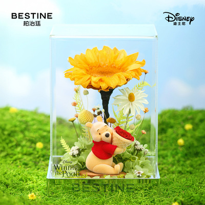 柏治廷小熊向日葵永生花教师节