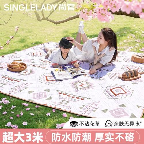 铝膜野餐垫加厚超大号户外防潮垫春游便携垫子公园草坪防水地垫布