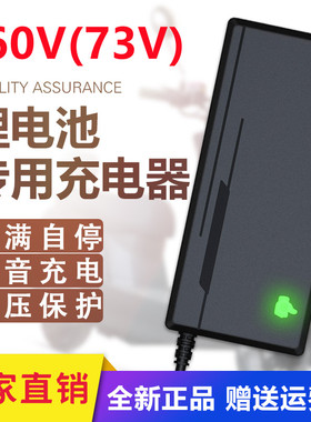 电动电瓶车锂离子电池充电器60V伏输出73V10A2A5A3a8磷酸铁锂20串