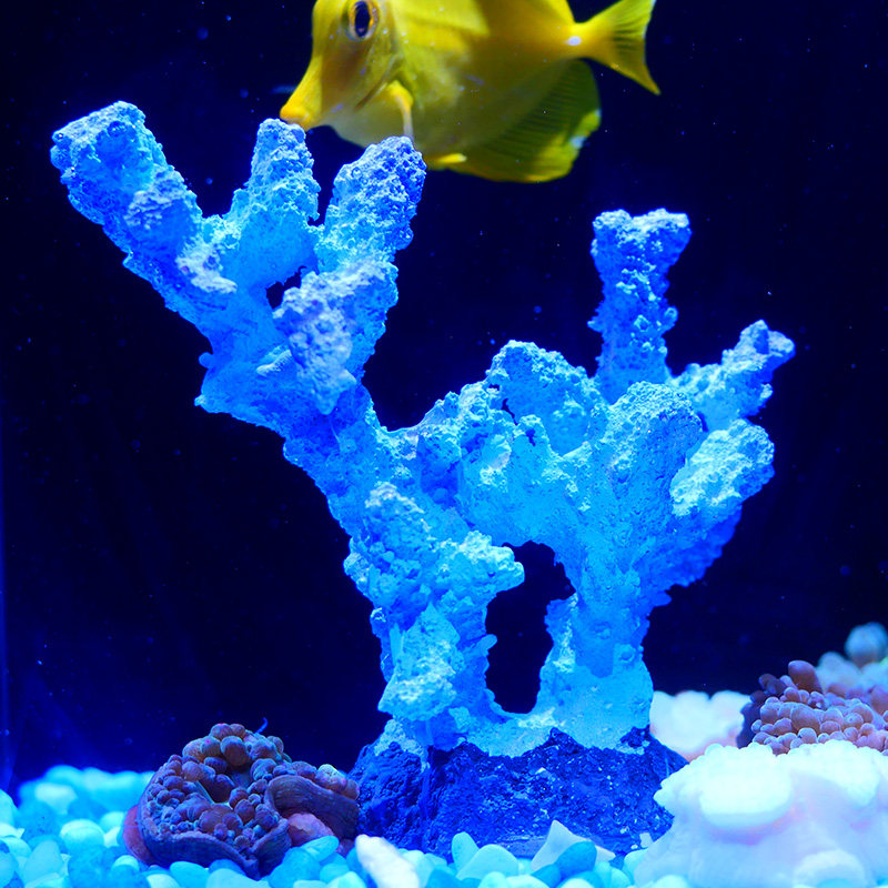 仿真蓝色珊瑚硬骨珊瑚树脂造景海水水族箱鱼缸造景摆件假sps珊瑚