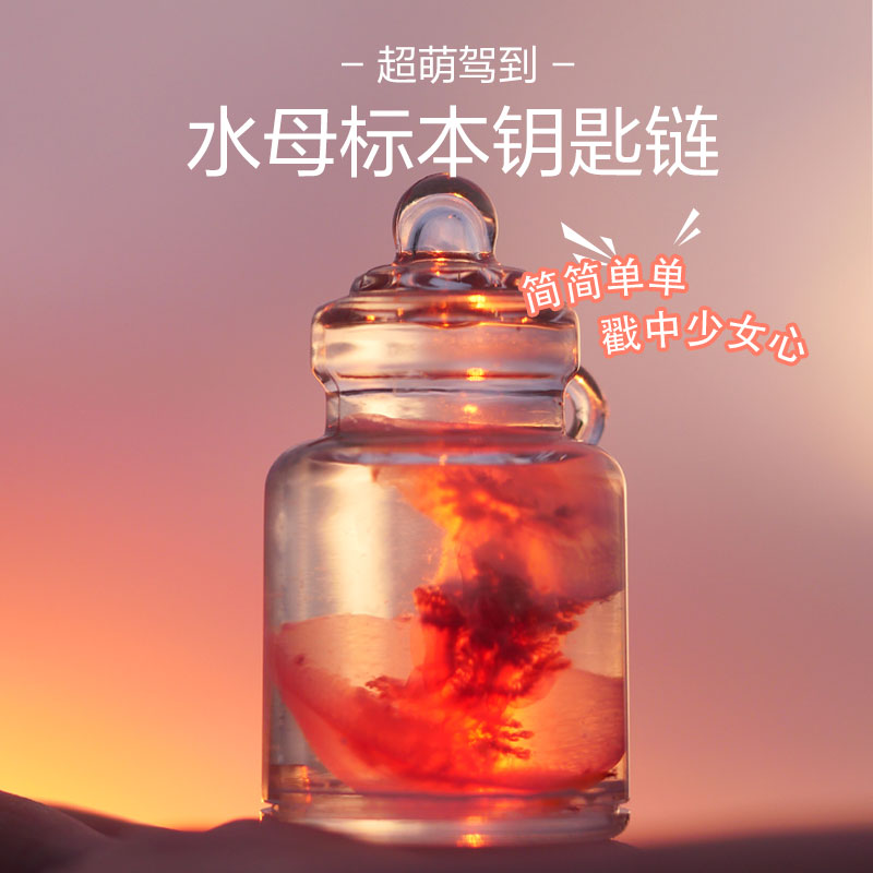 水母宠物标本挂件圣诞情人节