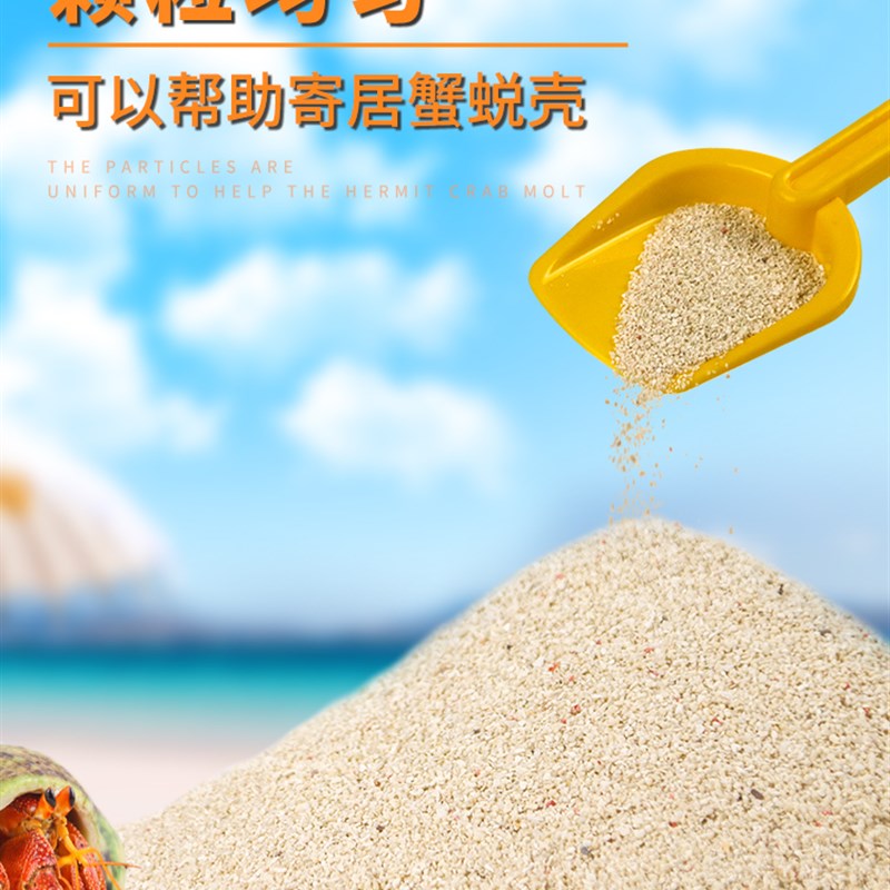 现货速发菲律宾沙珊瑚沙 寄居蟹沙贝壳砂免洗 海缸白细沙鱼缸造景