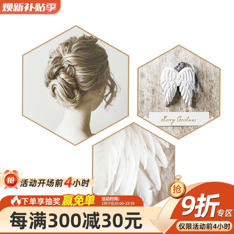 速发六边形卧室装饰画床头画北厅背景墙挂画美羽毛服装店墙画
